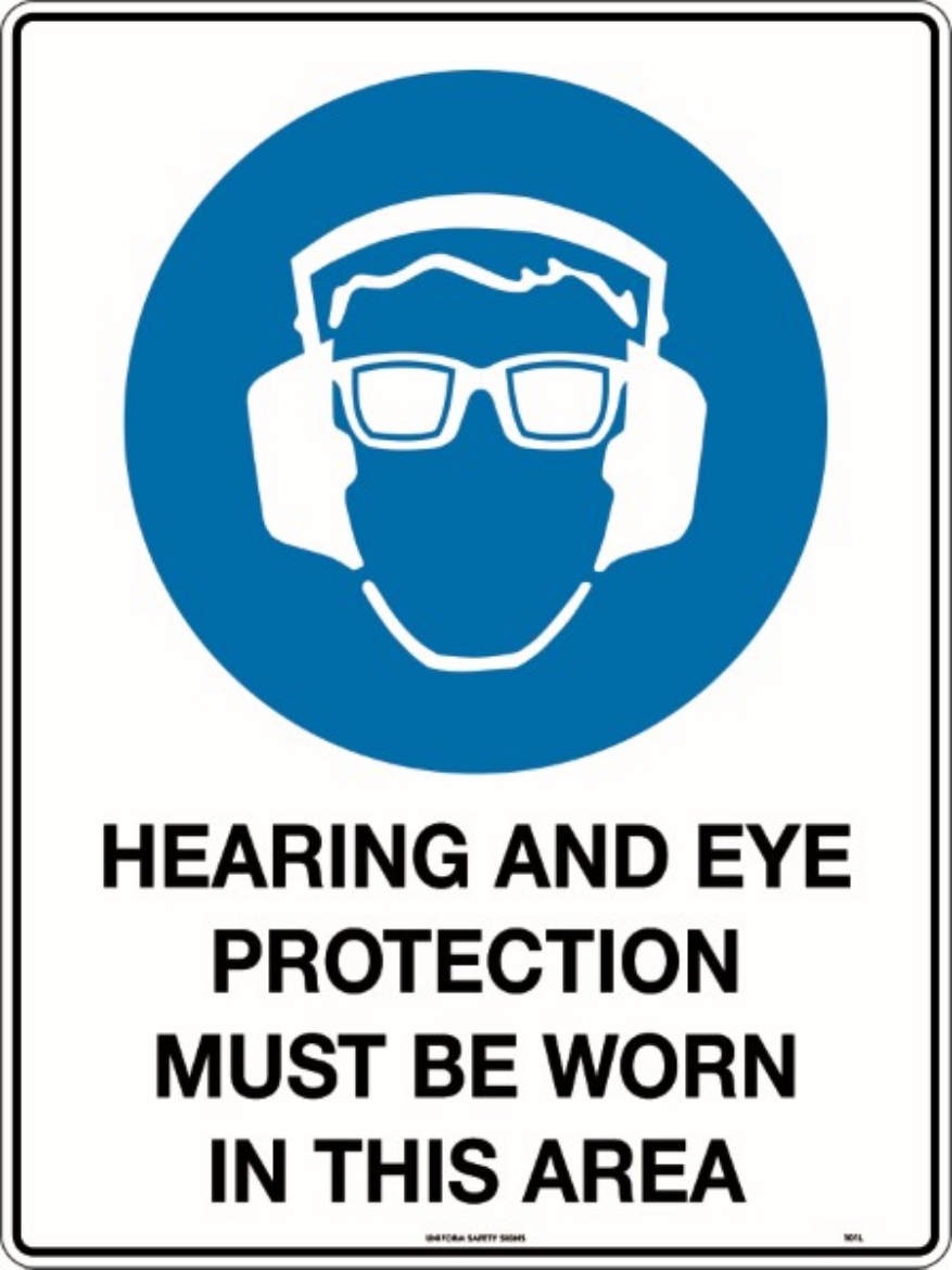 Picture of 450x300mm - Poly - Hearing and Eye Protection Must be Worn in This Area