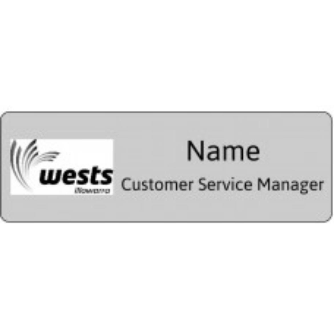 Picture of Badge Brushed Silver Resin Domed 75mm x 25mm Magnetic Fitting - Wests Illawarra - Customer Service Manager ****NAME****