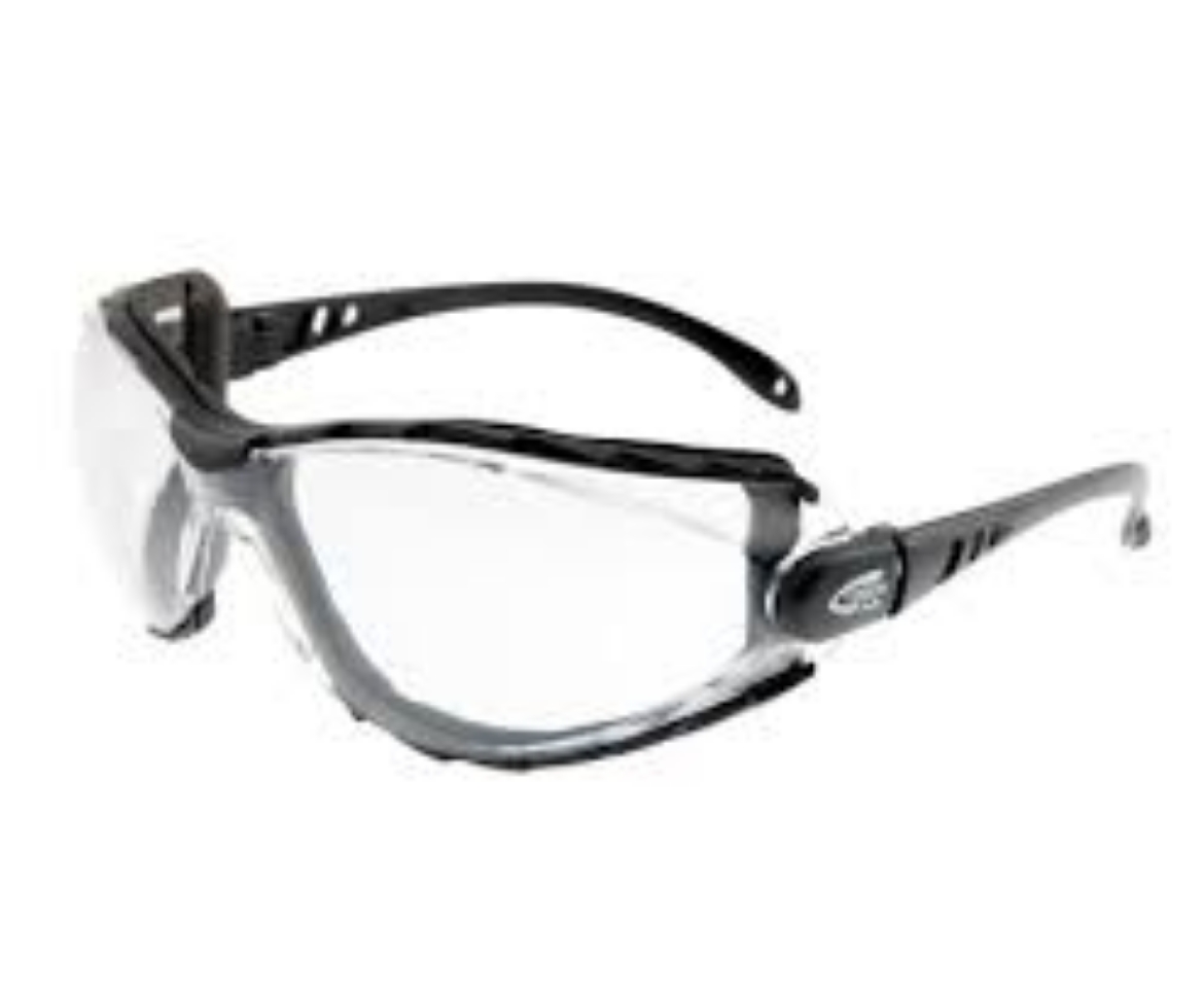 Picture of Vision Safe Seal Black Foam Bound Safety Glasses Clear