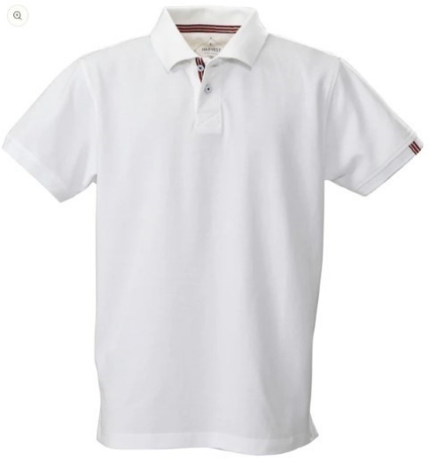 Picture of James Harvest Avon Mens Polo Shirt