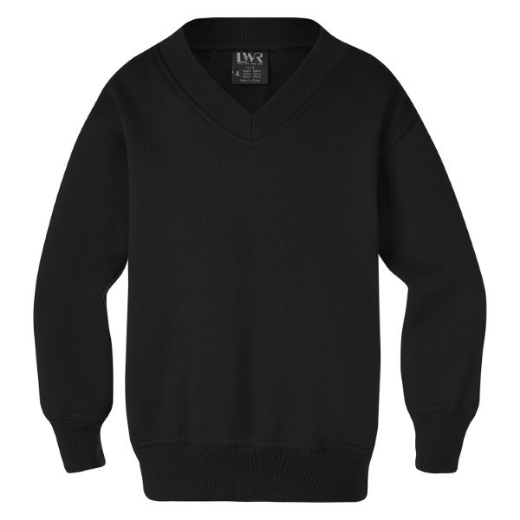 Picture of LW Reid Kids Baudin Fleecy V-Neck Sweat Shirt