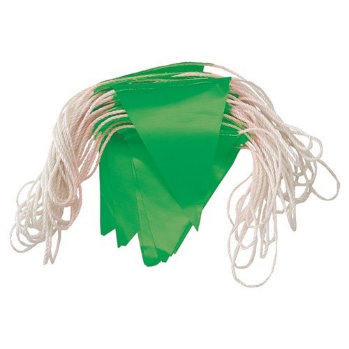 Picture of Pro-Choice Bunting Green PVC Triangle Flags 30 Metre Length 45 Flags